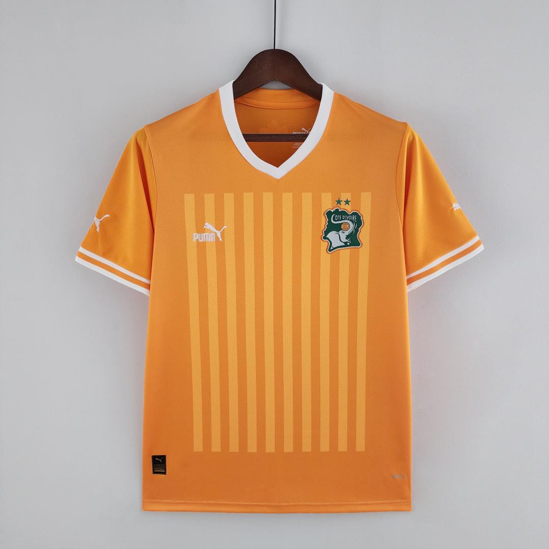 AAA Quality Cote d'Ivoire 2022 World Cup Home Soccer Jersey